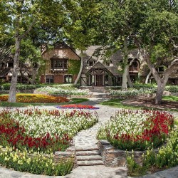 2929115C00000578-3101512-On_sale_Michael_Jackson_s_Neverland_Ranch_pictured_recently_has_-a-27_1432854494350