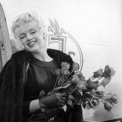 30537C1E00000578-3406123-image-a-12_1453196163592