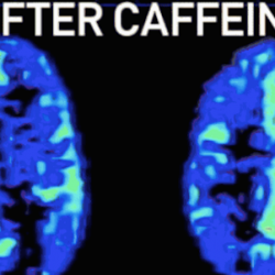 4-brain-caffeine.png