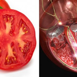 The-Appearance-Of-the-Food-You-Eat-Shows-Which-Organ-It-Cures-1