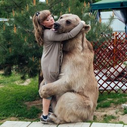 adopted-bear-russian-family-stepan-a13