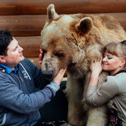 adopted-bear-russian-family-stepan-a4