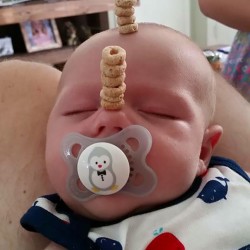 cheerio-challenge-dads-stack-cheerios-babies-funny-competition-1-576518fa9d326__605