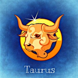 taurus-759381_960_720
