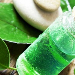 18-amazing-benefits-of-tea-tree-oil-for-skin-hair-and-health