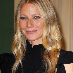 3920E35600000578-3842210-A_second_baby_and_a_divorce_separate_these_snaps_of_Gwyneth_Palt-m-37_1476685947466