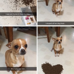 funny-snapchat-fails-103-5845144a697b6__605
