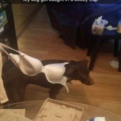 funny-snapchat-fails-7-584011e7b9fba__605