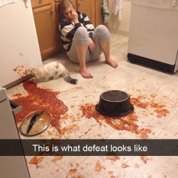 funny-snapchat-fails-70-5841241da14d3__605