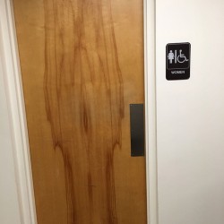 a0zld-door-funny-bathroom-wood-female