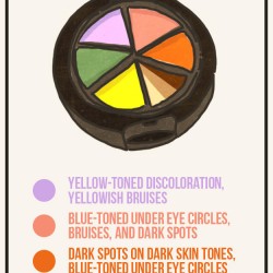 beauty-charts-for-those-who-suck-at-makeup-2.jpg