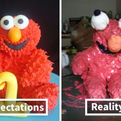 Funny-Food-Fails-Expectations-Vs-Reality-61-5a465fc750ee2__605