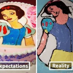 funny-food-fails-expectations-vs-reality-10-5a438f76a70c1__605
