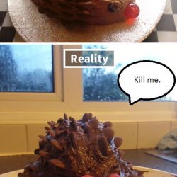 funny-food-fails-expectations-vs-reality-103-5a532066c8e2e__605