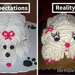 funny-food-fails-expectations-vs-reality-109-5a5324864ec66__605