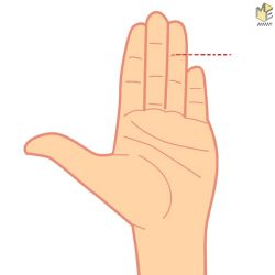 size-pinky-finger-say-2