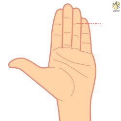 size-pinky-finger-say-3