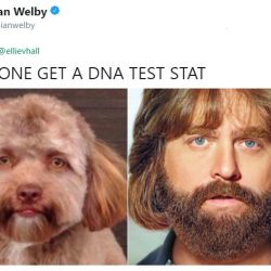 fpuym-dog-with-human-face-3