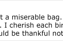 woman-funeral-for-youth-30th-birthday-party-mila-blatova-5ab3737d9f939__700