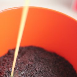 IMG_7452-e1426183168307