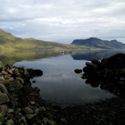 L1002551-e1457731165908