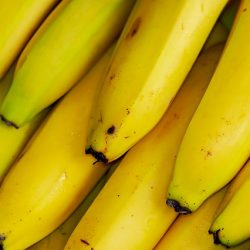 bananar-eru-hollir