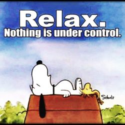 365685-Relax.-Nothing-Is-Under-Control