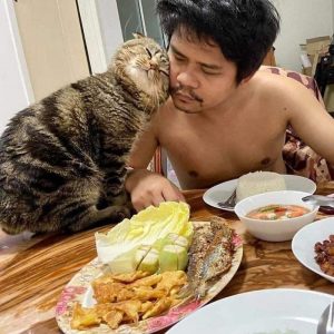 cat-stole-husband-nasrin-hami-2-5f55d6be01bdd__700
