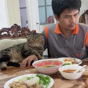 cat-stole-husband-nasrin-hami-5-5f55d6c44d256__700