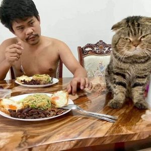 cat-stole-husband-nasrin-hami-7-5f55d6c782dbb__700
