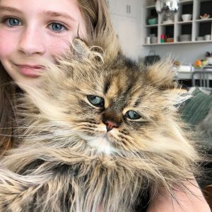 Meet-Barnaby-the-cross-eyed-Persian-cat-who-is-cute-but-always-seems-to-be-sad-60093a359539d__880